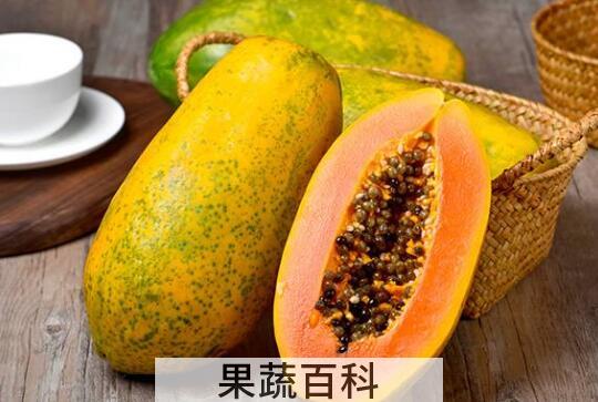 番木瓜和木瓜的区别