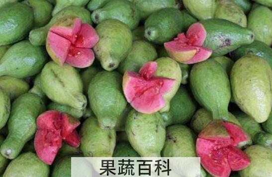 番石榴怎么吃 番石榴的食用方法大全