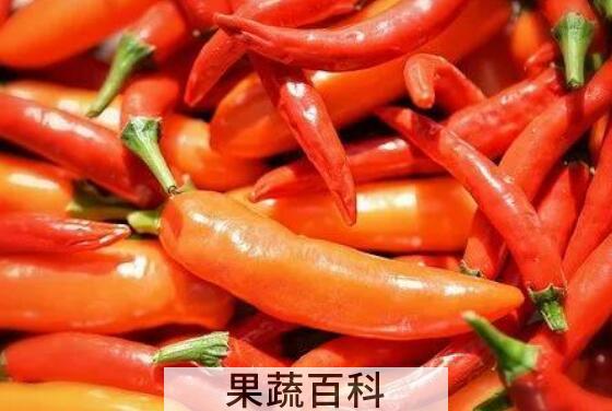 辣椒素发热对人体害处