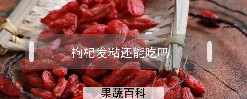 枸杞发粘还能吃吗