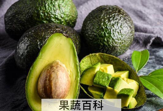 牛油果怎么催熟 新鲜牛油果怎么催熟最快