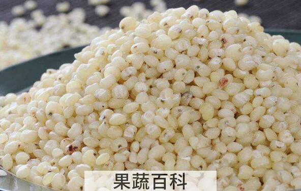 高粱米的功效与作用及禁忌