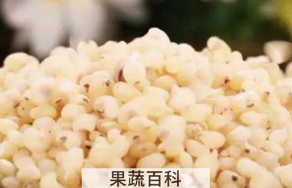 高粱米的功效与作用及禁忌