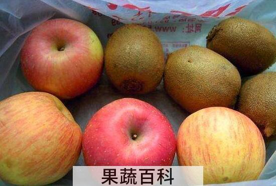 富含维生素a的水果有哪些