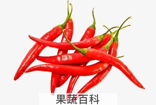女人经常吃辣椒的好处 女人经常吃辣椒的危害
