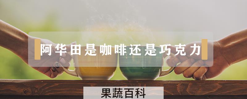 阿华田是咖啡还是巧克力
