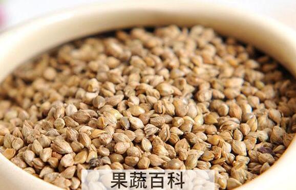 山稗子的功效与作用 山稗子的禁忌