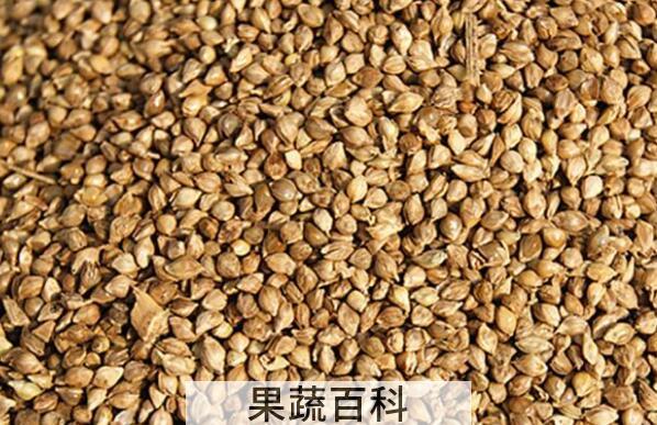山稗子的功效与作用 山稗子的禁忌