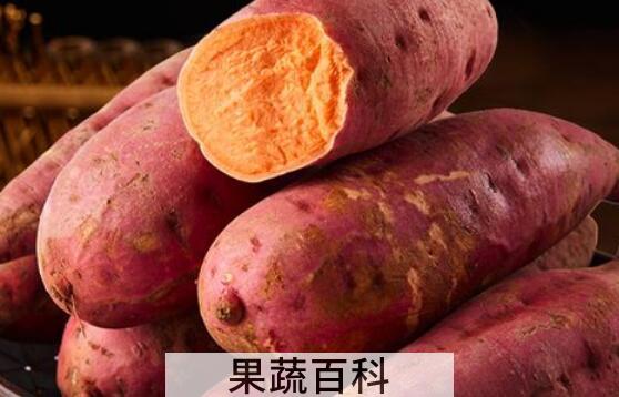吃红薯的好处和坏处 长期吃红薯有什么危害