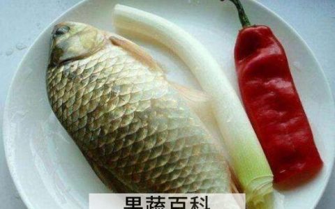 草鱼和鲫鱼的区别