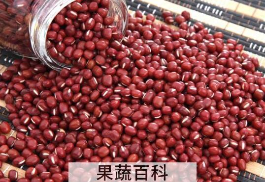 吃红豆的好处和坏处 红豆的食疗作用