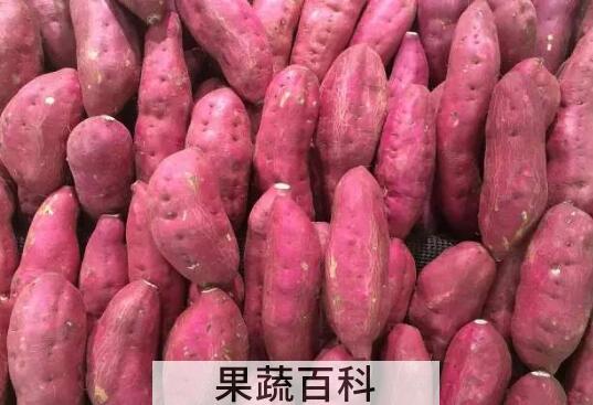 番薯的功效与作用 吃番薯的好处有哪些
