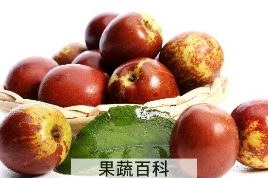 冬枣的功效与作用 吃冬枣的好处