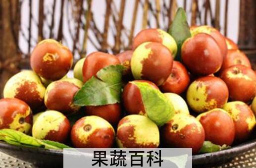 冬枣的功效与作用 吃冬枣的好处