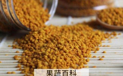 荞麦花粉的功效与作用及食用方法