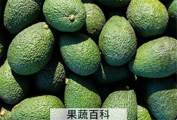 减肥期间为什么要吃牛油果
