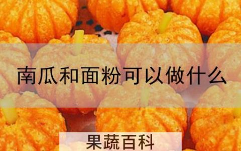 南瓜和面粉可以做什么