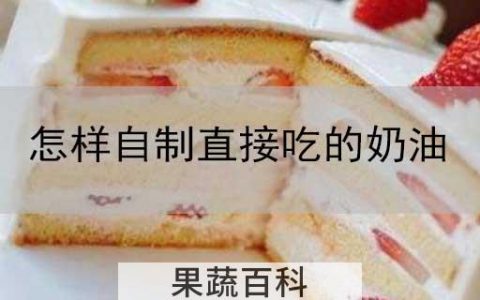 怎样自制直接吃的奶油