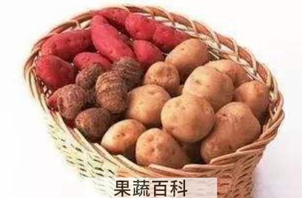 常见的富含淀粉食物有哪些 不含淀粉的食物有哪些