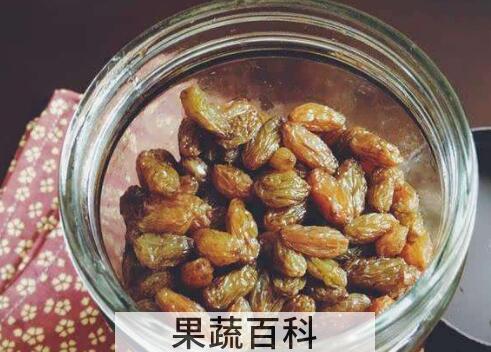 葡萄干泡醋有什么功效和作用