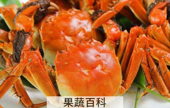 螃蟹怎么蒸 螃蟹蒸多久