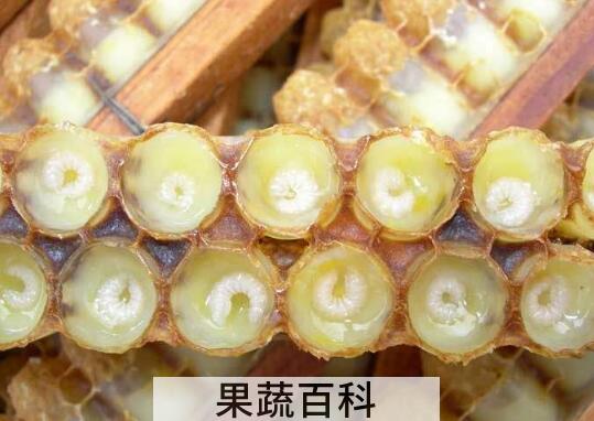 蜂王浆的副作用 蜂王浆不适合哪些人吃