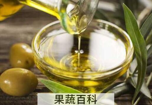 如何自己榨橄榄油