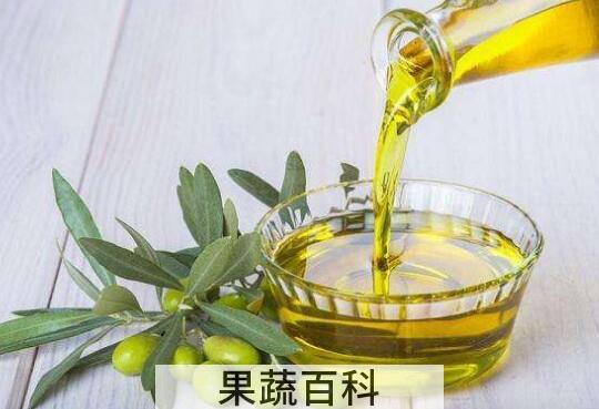 如何自己榨橄榄油