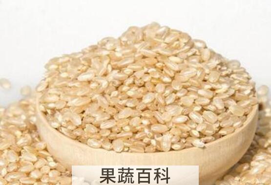 卡路里最低的食物排行