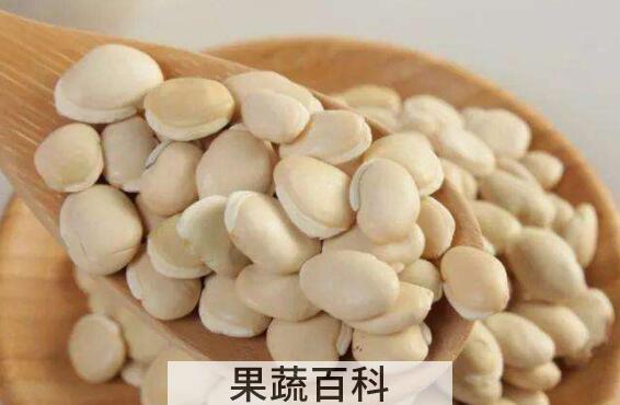 炒白扁豆的功效与作用 炒白扁豆怎么做好吃