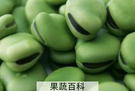 胡豆的功效与作用