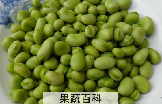 胡豆的功效与作用