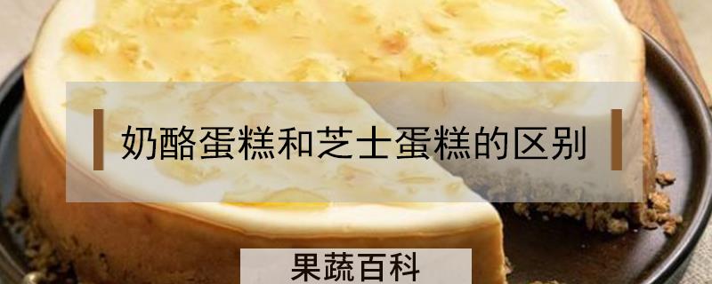 奶酪蛋糕和芝士蛋糕的区别
