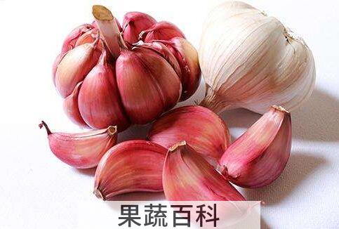 大蒜怎么保存 大蒜的正确保存方法
