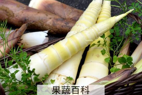 怎么剥春笋 如何剥春笋
