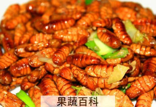蚕蛹的功效与作用 吃蚕蛹的禁忌