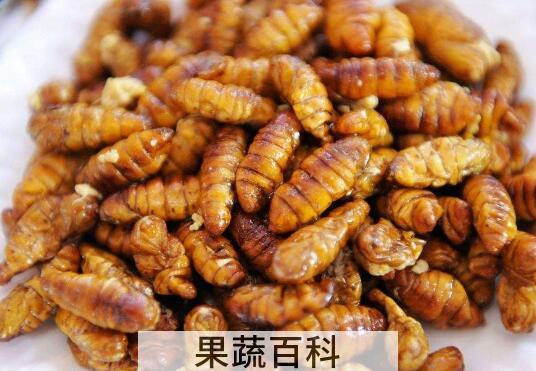 蚕蛹的功效与作用 吃蚕蛹的禁忌