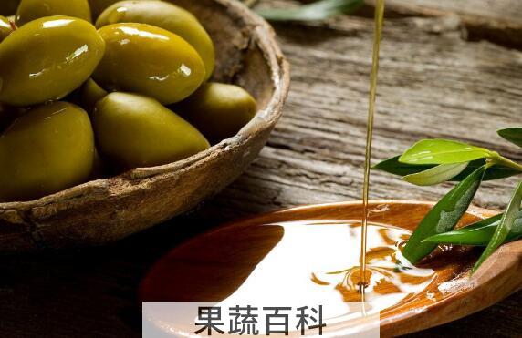 油橄榄果油的功效与作用