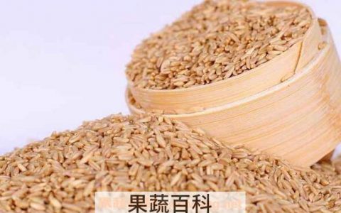 长期吃燕麦的好处与坏处