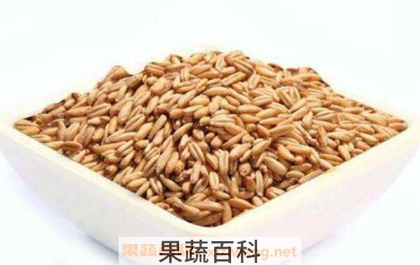 长期吃燕麦的好处与坏处