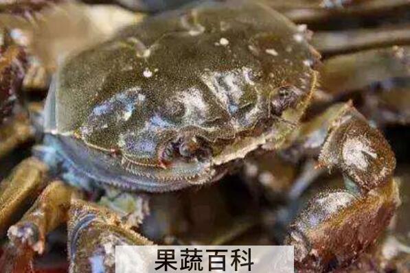 当天死掉的螃蟹能吃吗 吃了死螃蟹怎么解毒
