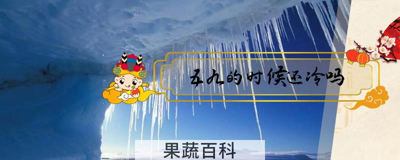 五九的时候还冷吗