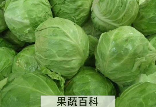 包菜的营养价值及功效