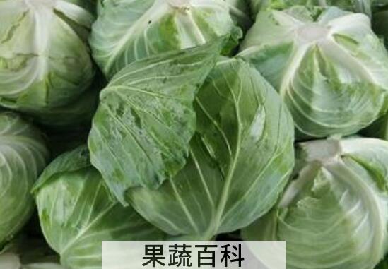 包菜的营养价值及功效