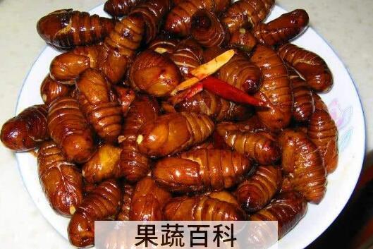 蚕蛹怎么吃 蚕蛹的食用方法