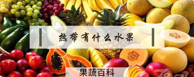热带有什么水果