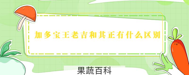 加多宝王老吉和其正有什么区别