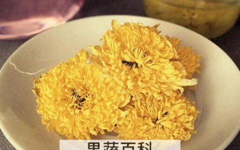 靖安皇菊的功效与作用及禁忌