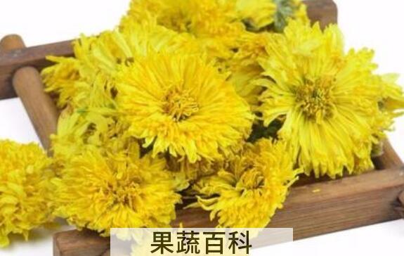 靖安皇菊的功效与作用及禁忌