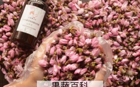 桃花精油的功效与作用